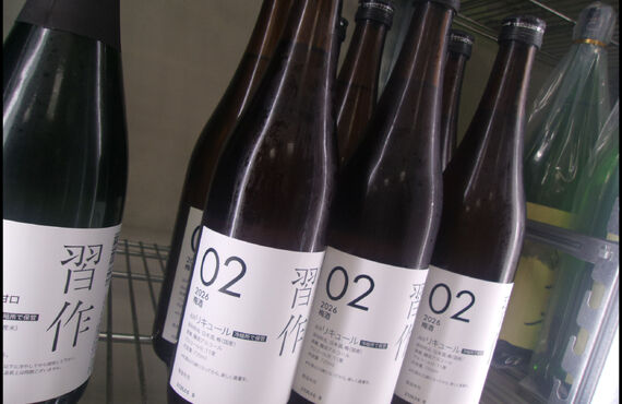 初亀　習作2026-02　梅酒　をネットで販売中！